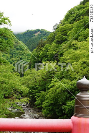 Toryu Bridge Toryu Bridge Toryu Bridge Owa Toryu Bridge 75268186