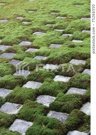 Kyoto Garden 75268350