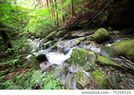 Scenery of Itoshima, upstream of Senjuin Waterfall 75268510