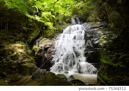 Scenery of Itoshima, upstream of Senjuin Waterfall 75268512
