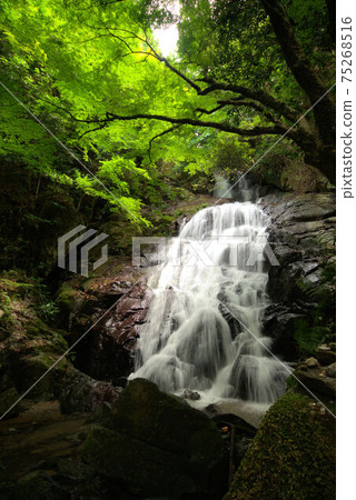 Senjuin Waterfall Itoshima Scenery 75268516