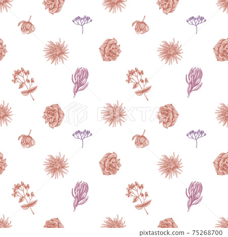 Seamless pattern with hand drawn pastel viburnum, hypericum, tulip, aster, leucadendron, amaryllis Seamless pattern with hand drawn pastel viburnum, hypericum, tulip, aster, leucadendron, amaryllis 75268700