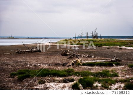 [北海道]登佐半島上的Todowara，據說是世界末日的東方之路的虛幻景觀 75269215