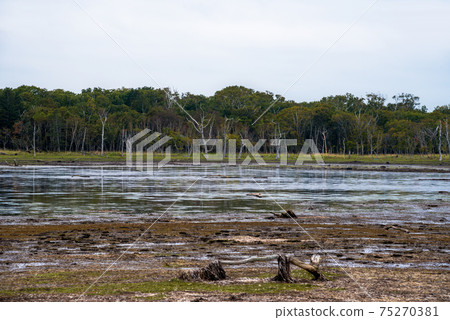 [Hokkaido] Nunnawala on the Notsuke Peninsula, an illusionary landscape of the eastern road that is said to be the end of the world 75270381