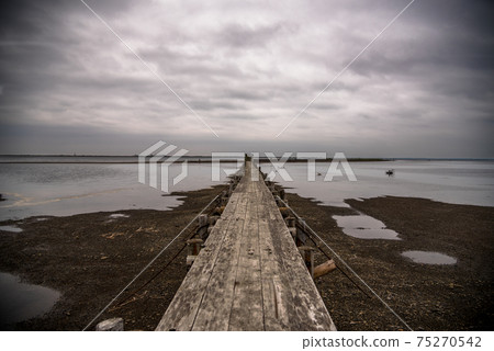 [北海道]登佐半島上的Todowara，據說是世界末日的東方之路的虛幻景觀 75270542