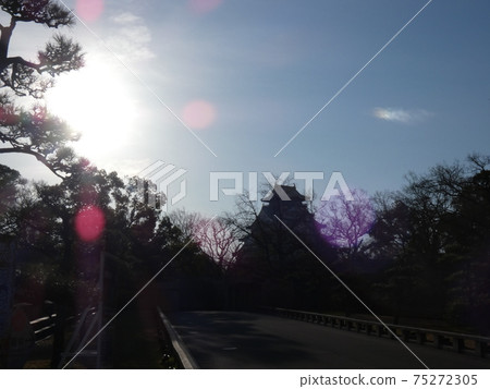 在早晨的陽光下梳理輪廓的大阪城 在早晨的陽光下梳理輪廓的大阪城 75272305