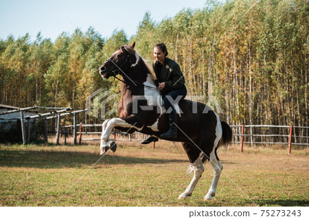 The horse stands beautifully on its hind legs with the rider on its back during dressage at the ranch The horse stands beautifully on its hind legs with the rider on its back during dressage at the ranch 75273243