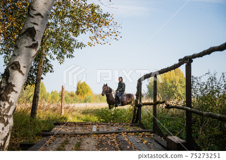 On a sunny day, the girl takes a ride on horseback through the expanses of her estate On a sunny day, the girl takes a ride on horseback through the expanses of her estate 75273251