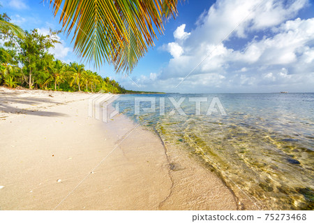 Palm tree leaf over ocean water on tropical beach 75273468