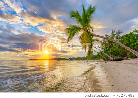 Sunrise over tropical beach 75273492