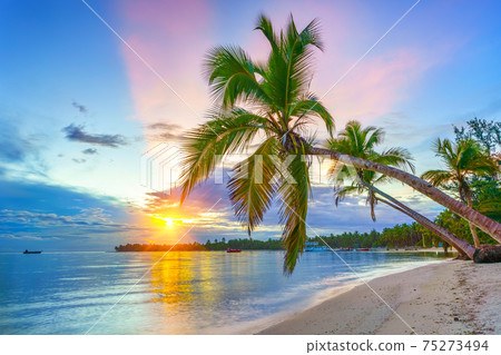 Sunrise over tropical beach 75273494