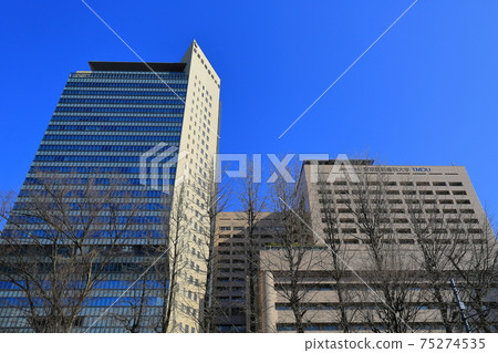 東京東京醫科Den科大學 東京東京醫科Den科大學 75274535