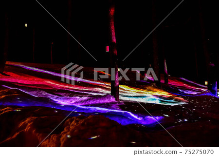 Illuminations in the snow field 75275070