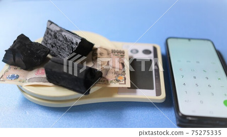 Carbon pricing environmental accounting carbon trading eco-business environmental business decarbonized carbon neutral Carbon pricing environmental accounting carbon trading eco-business environmental business decarbonized carbon neutral 75275335