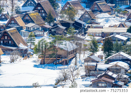 從天文台看到的冬季白川鄉[岐阜縣] 75275353