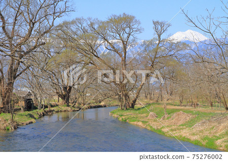 Clear current of Azumino early spring Clear current of Azumino early spring 75276002