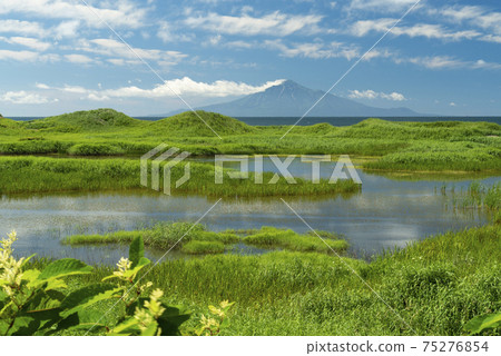 沿著Oloron線和利iri山（北海道）的沼澤 75276854