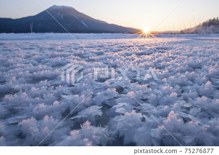 阿寒湖和奧干山（北海道）的霜花 75276877