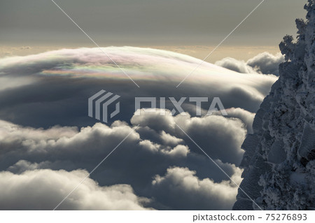 The north wall of Mt. Ishizuchi and the sea of clouds that became iridescent (Ehime Prefecture) 75276893