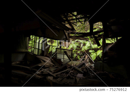 Mountain green peeking from the ruins Mountain green peeking from the ruins 75276912