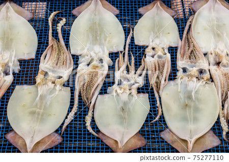 Sun-dried landscape of squid opening Sun-dried landscape of squid opening 75277110