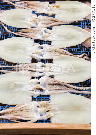 魷魚開放的曬乾景觀 75277113