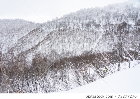 雪山 雪山 75277276