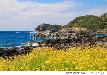 Takahama Beach Takahama Beach 75277471