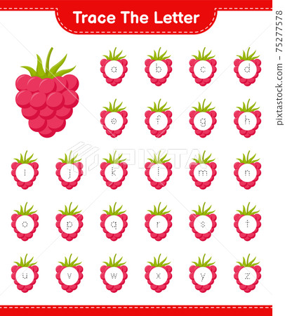 Trace the number. Tracing number with Raspberries. Educational children game, printable worksheet, vector illustration 75277578