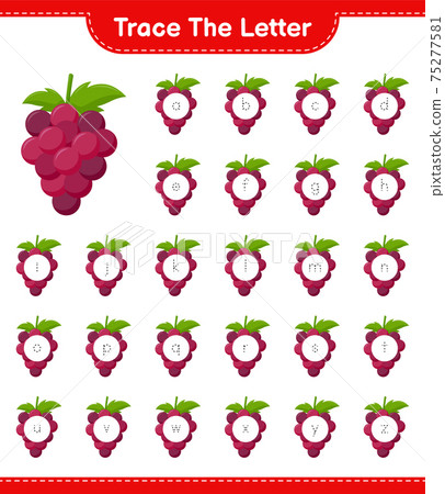 Trace the number. Tracing number with Grape. Educational children game, printable worksheet, vector illustration Trace the number. Tracing number with Grape. Educational children game, printable worksheet, vector illustration 75277581