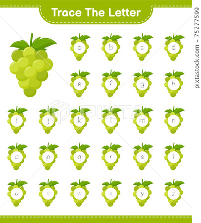 Trace the number. Tracing number with Grape. Educational children game, printable worksheet, vector illustration Trace the number. Tracing number with Grape. Educational children game, printable worksheet, vector illustration 75277599