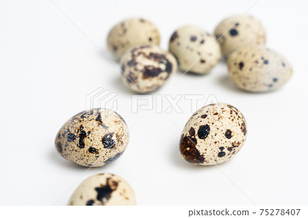 鵪鶉蛋 75278407