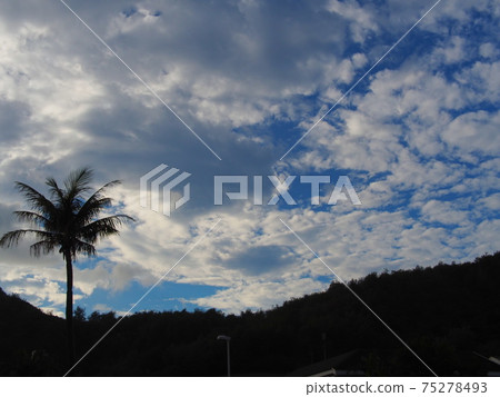 熱帶的天空 75278493