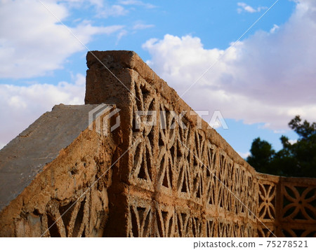 Desert wall 75278521