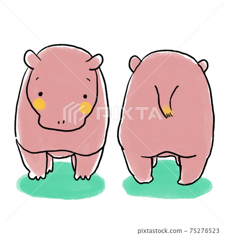 Handwritten style illustration hippopotamus 75278523