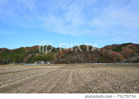 我去看中kamado哭泣的Momiji#52 我去看中kamado哭泣的Momiji#52 75279734