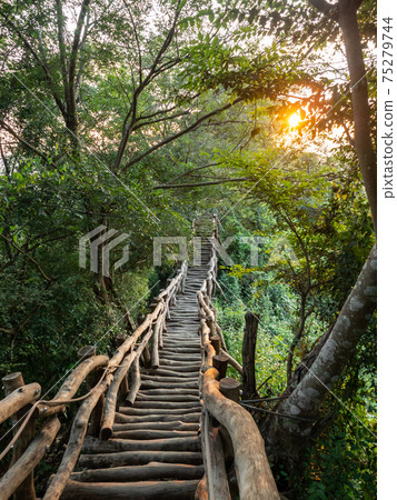 夕陽時間的登山步道 夕陽時間的登山步道 75279744