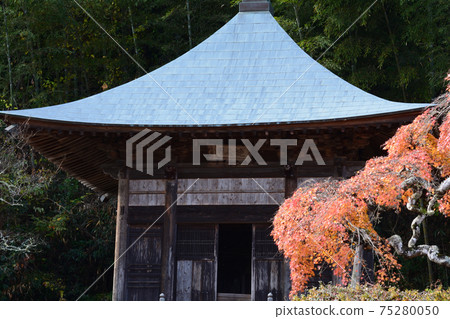 我去看了中ka多哭泣的Momiji＃62 75280050