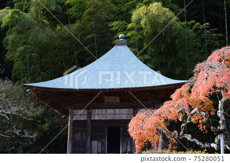 我去看中ka藤哭泣的Momiji＃61 75280051