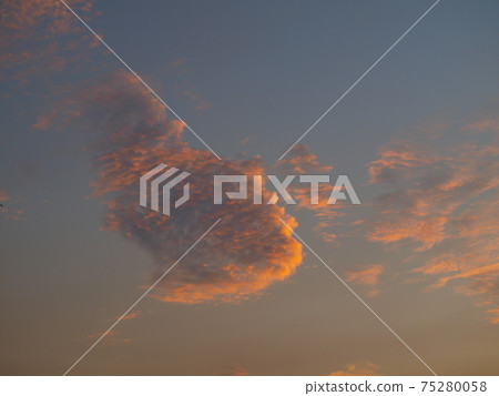 像金魚的雲 像金魚的雲 75280058