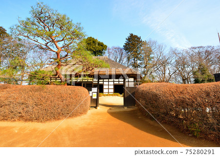 老民居茅草的屋頂 75280291