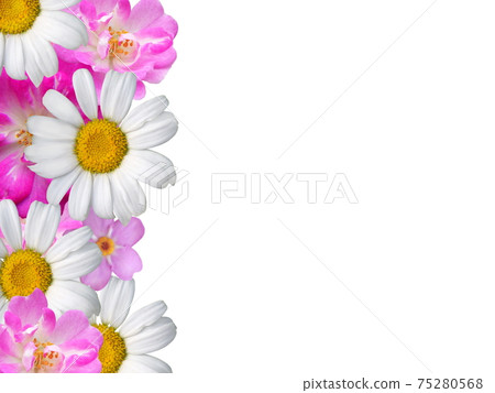 White and pink flower arrangement (white copy space) White and pink flower arrangement (white copy space) 75280568