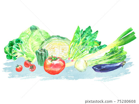 A set of various vegetables drawn in watercolor A set of various vegetables drawn in watercolor 75280608