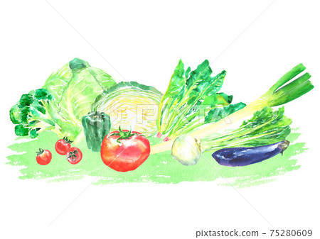 A set of various vegetables drawn in watercolor 75280609