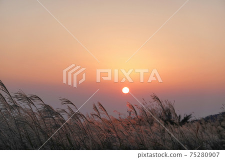 Sunset and Susuki Sunset and Susuki 75280907