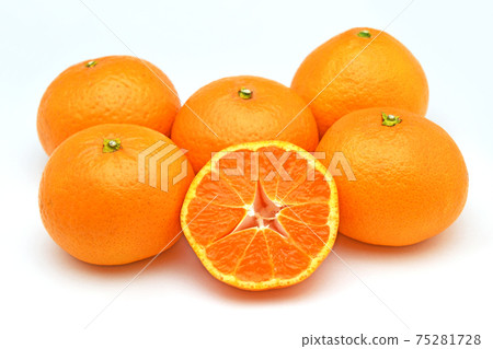 Kiyomi wood 75281728