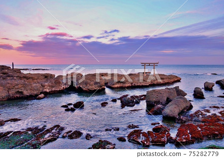 Sea of Japan 6 Oarai Coast, Oarai Town, Higashiibaraki County, Ibaraki Prefecture Pink Sea of Japan 6 Oarai Coast, Oarai Town, Higashiibaraki County, Ibaraki Prefecture Pink 75282779