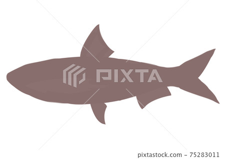 Sardine silhouette 75283011