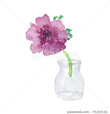 銀蓮花的水彩插圖在一個玻璃花瓶中的花朵 75283516