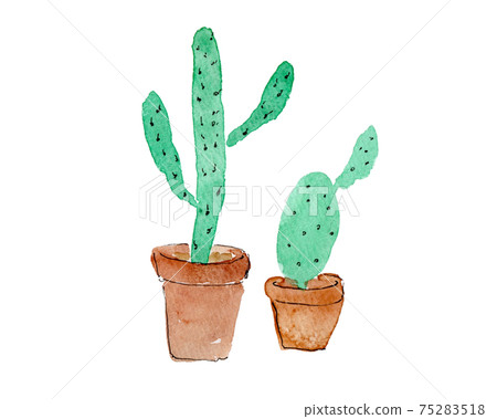 Watercolor illustration of cactus potted plant 75283518